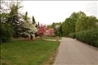03 Neighborhood